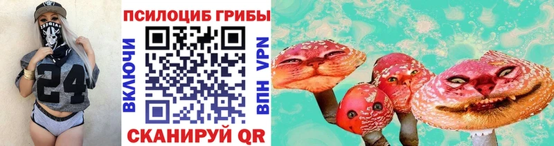 хочу наркоту Гусь-Хрустальный Галлюциногенные грибы мухоморы