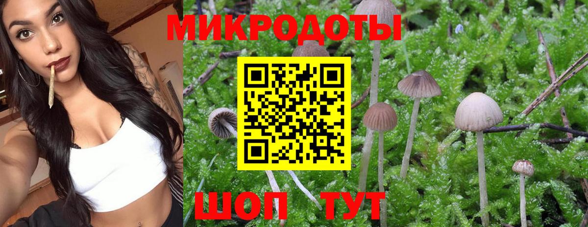 Галлюциногенные грибы Magic Shrooms  Гусь-Хрустальный 