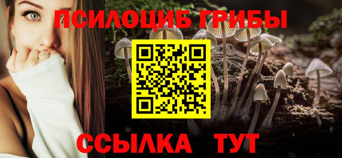 Псилоцибиновые грибы MAGIC MUSHROOMS  Вход с VPN  Гусь-Хрустальный 