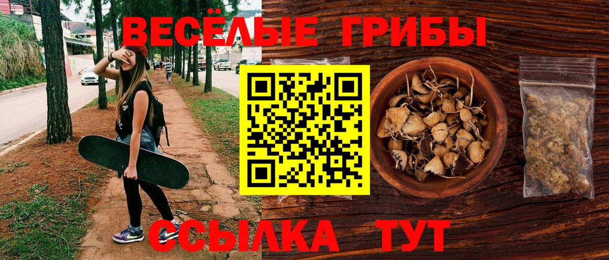 Галлюциногенные грибы GOLDEN TEACHER Гусь-Хрустальный